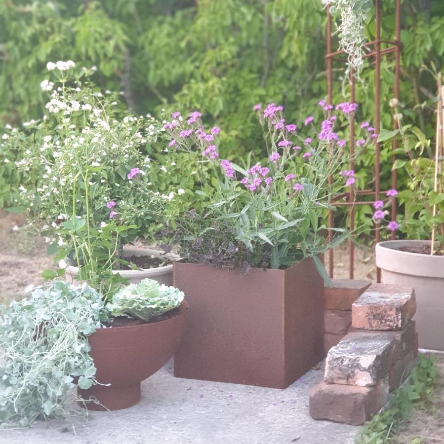 Ronehamn Bed And Breakfast Hemse Zewnętrze zdjęcie